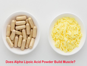 Does Alpha Lipoic Acid Powder Build Muscle?